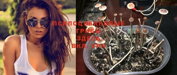 дурь Абинск