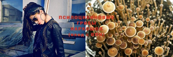 дурь Абинск