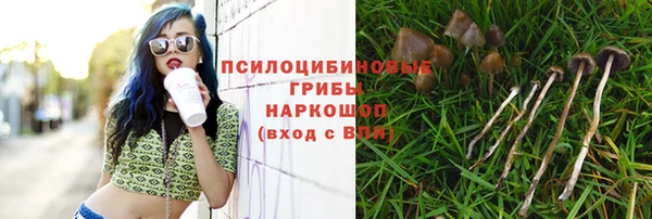 мет Ладушкин