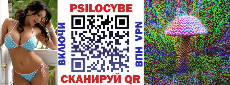 shop официальный сайт Нижнекамск Псилоцибиновые грибы мицелий как найти закладки